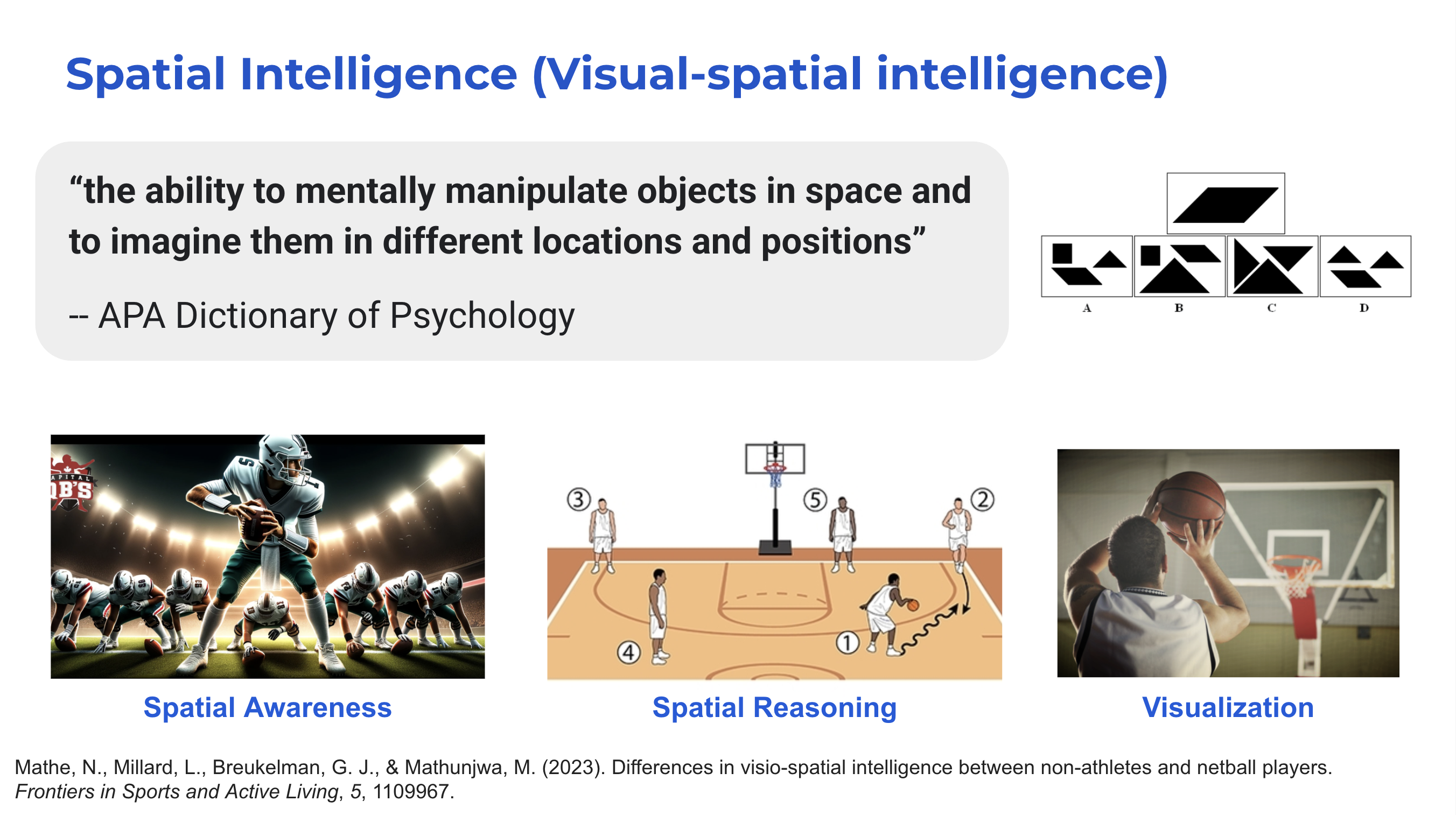 SportsXR: Augmenting Spatial Intelligence through Immersive Sports Analytics